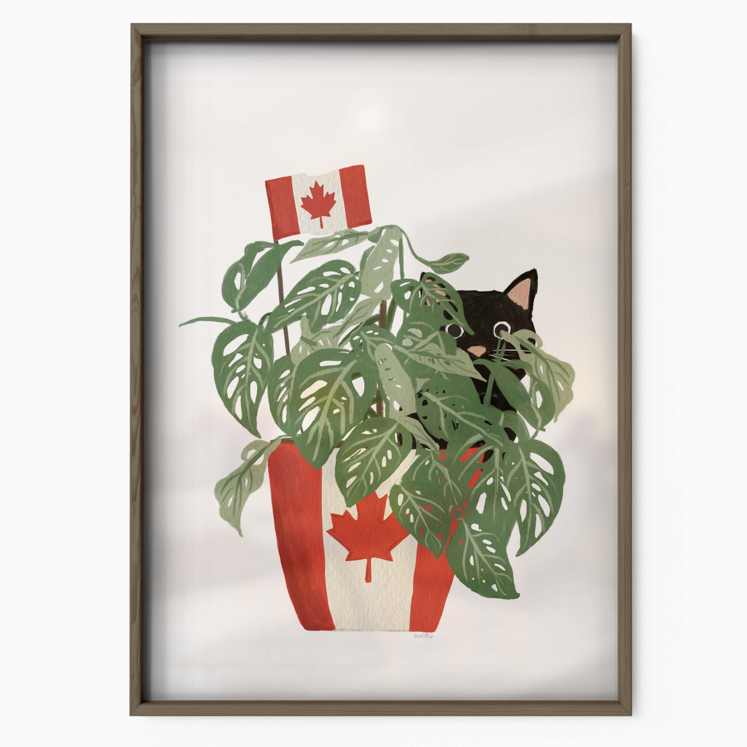 Canadian Cat