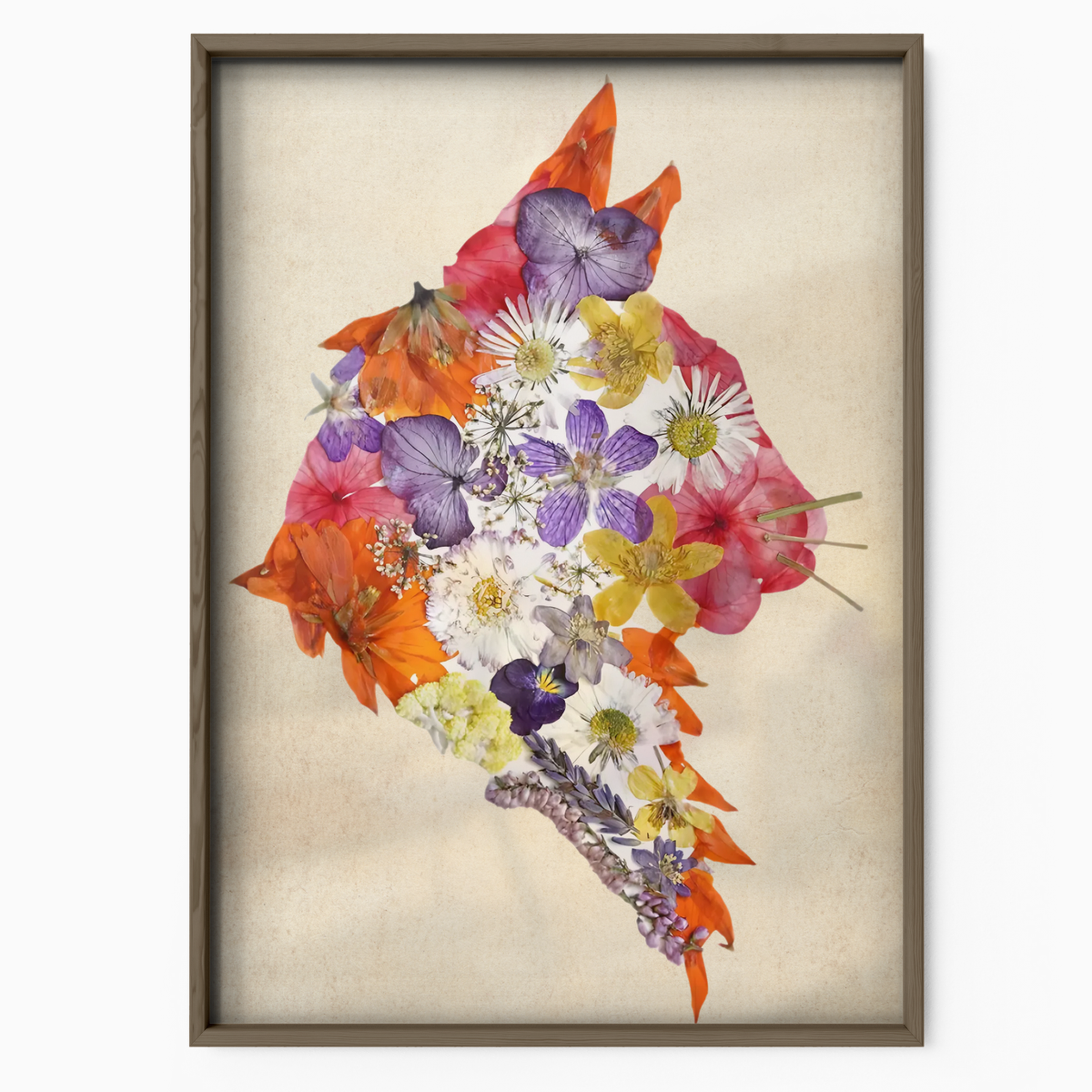 Cat Nature Flower 5 6