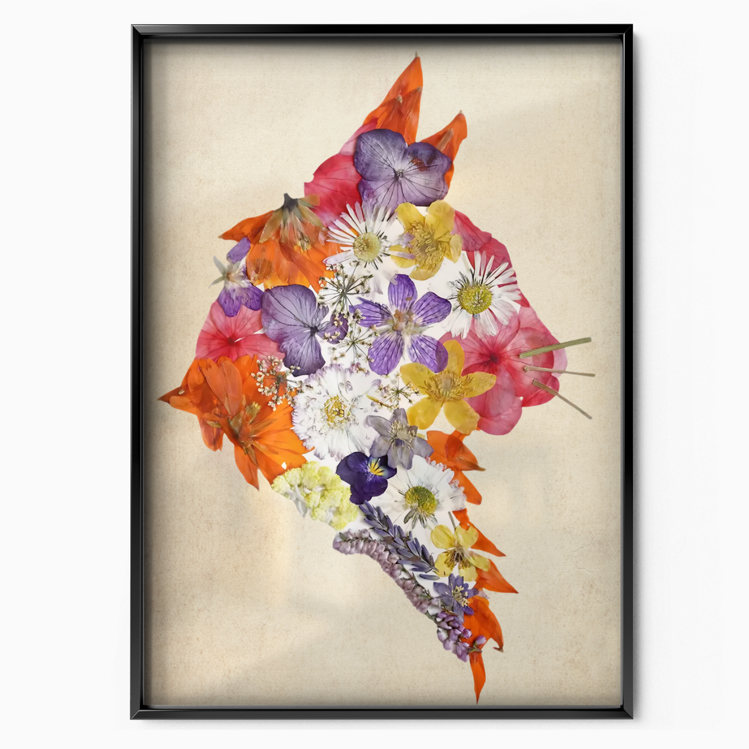 Cat Nature Flower 5 6