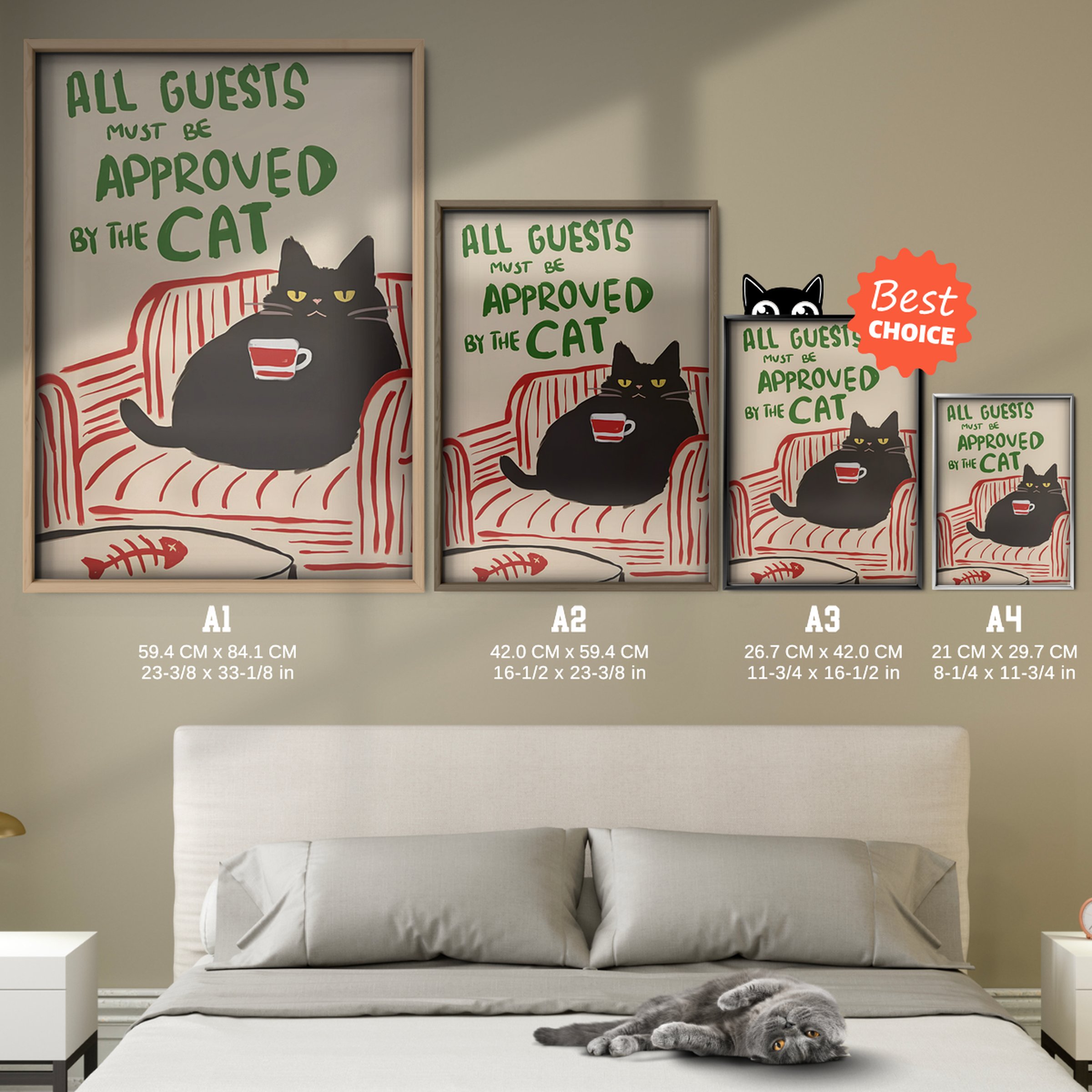 Black Cat All Guests