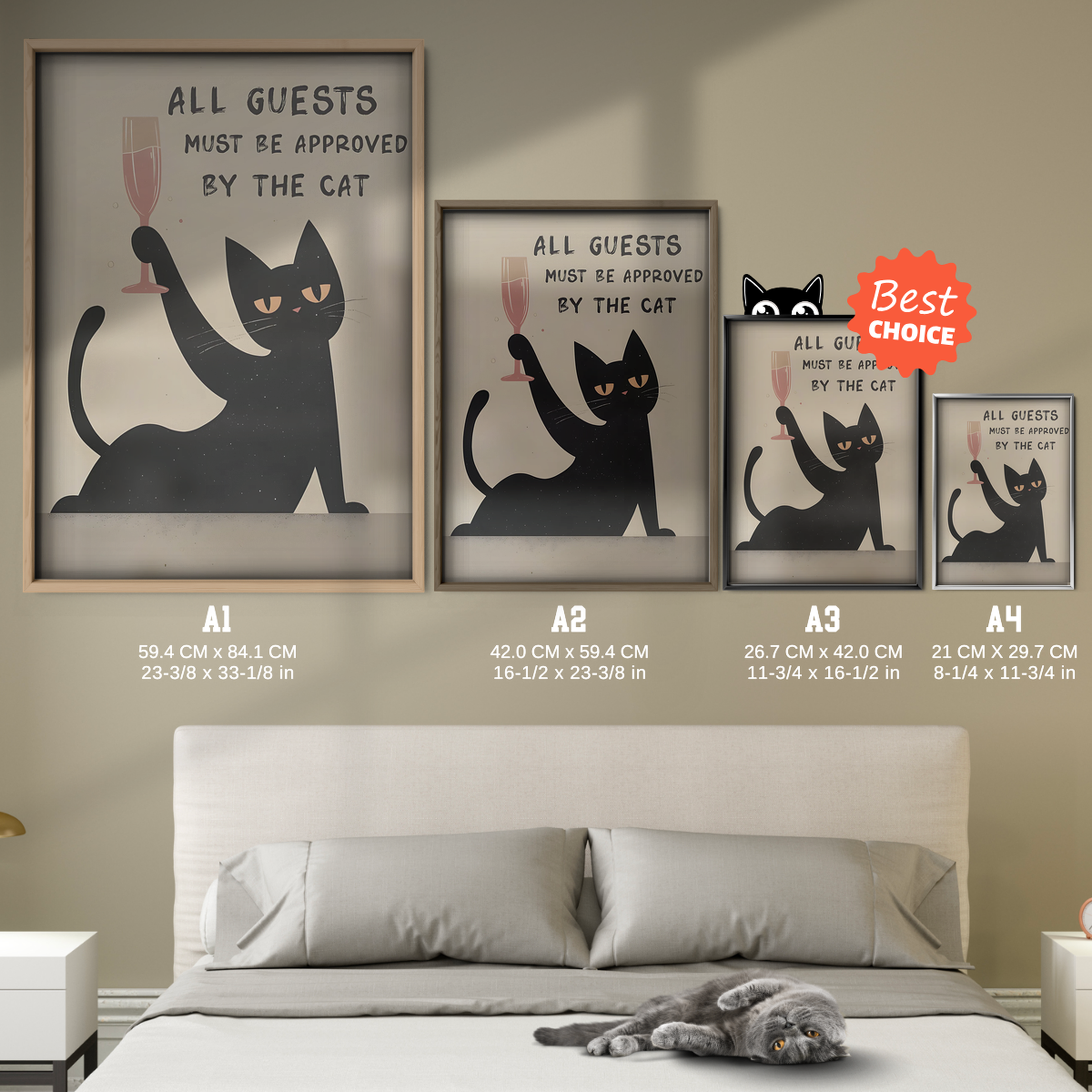 Cat Champagne