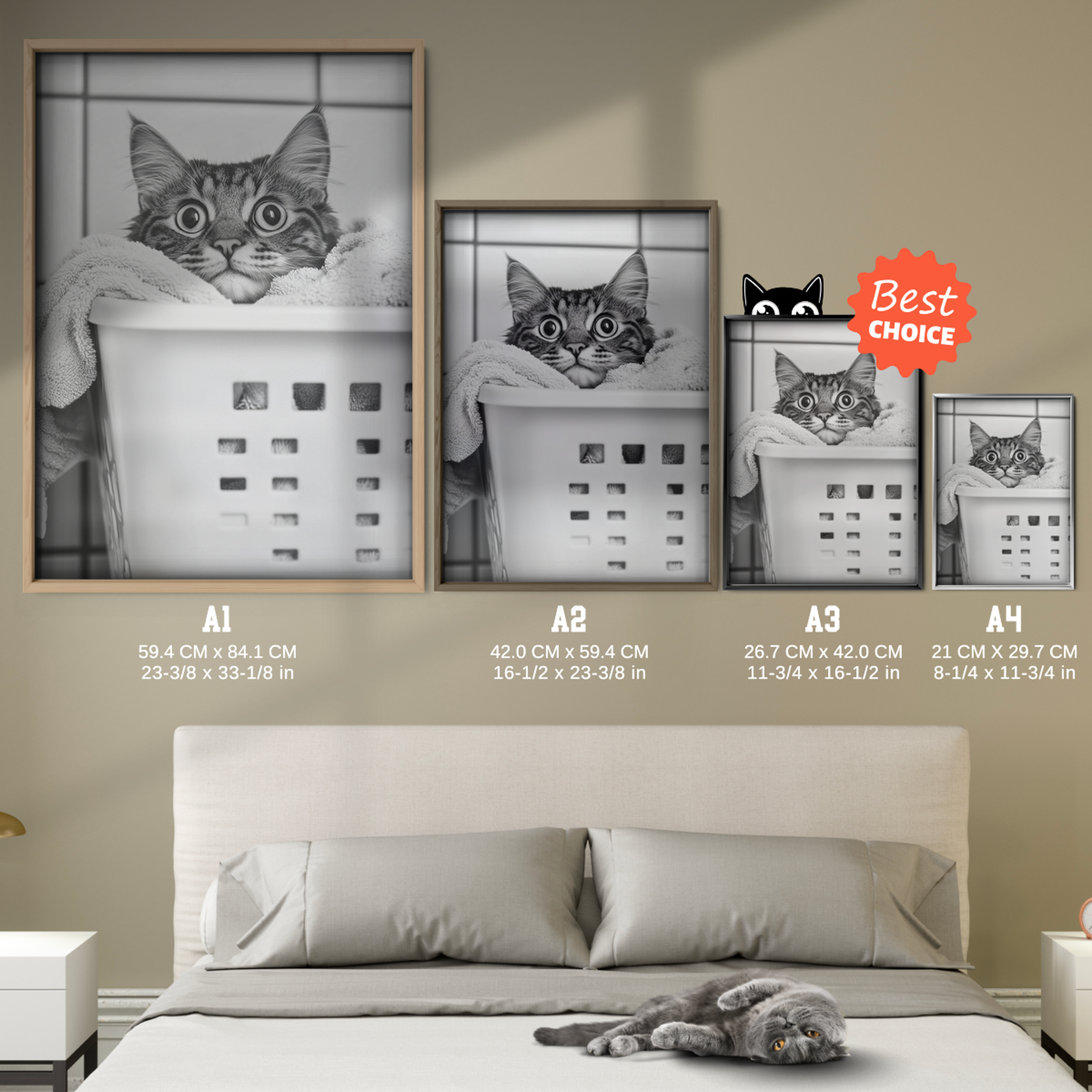 Cozy Cat Laundry Peek