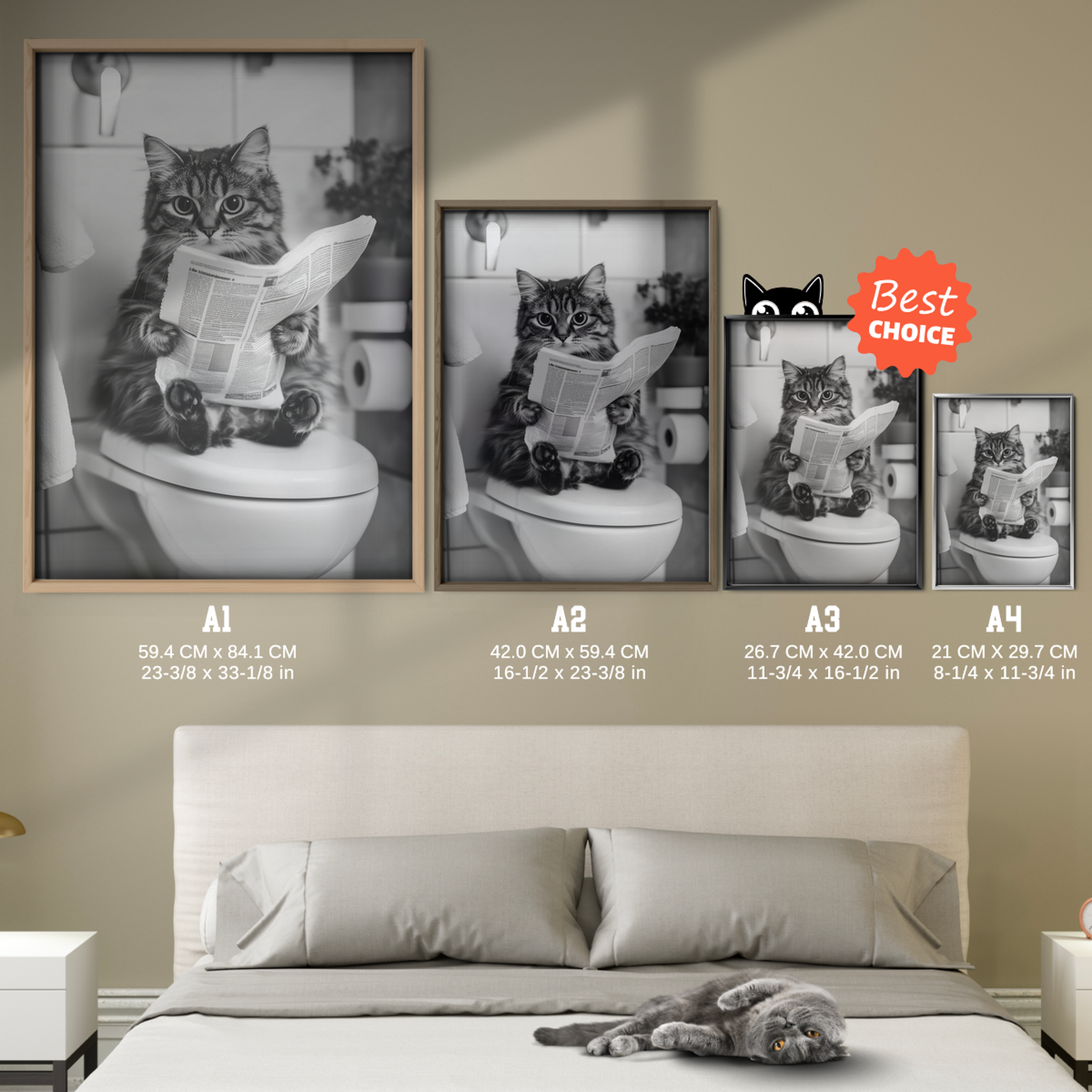 Cozy Cat Newspaper Break