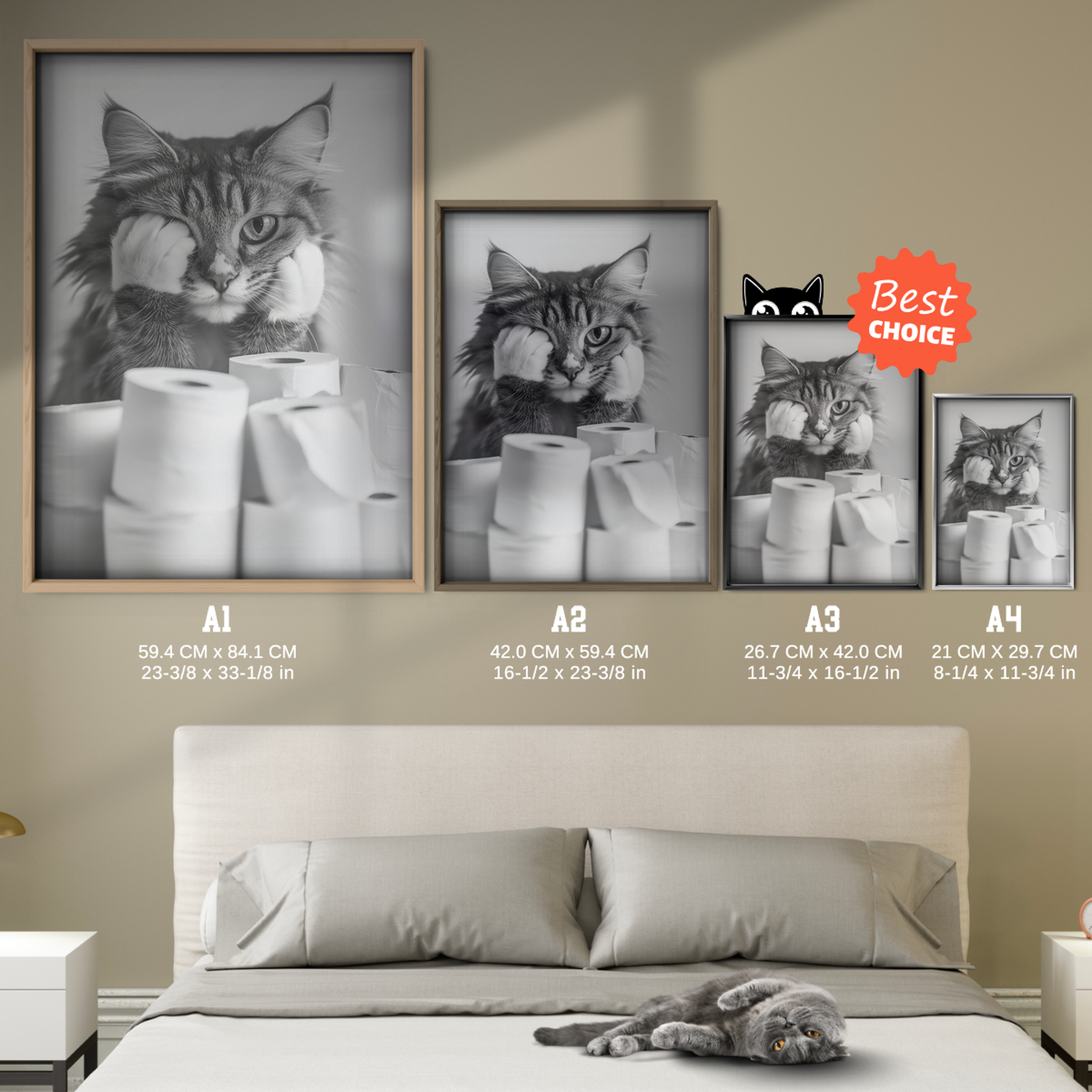 Cozy Cat Paper Stress