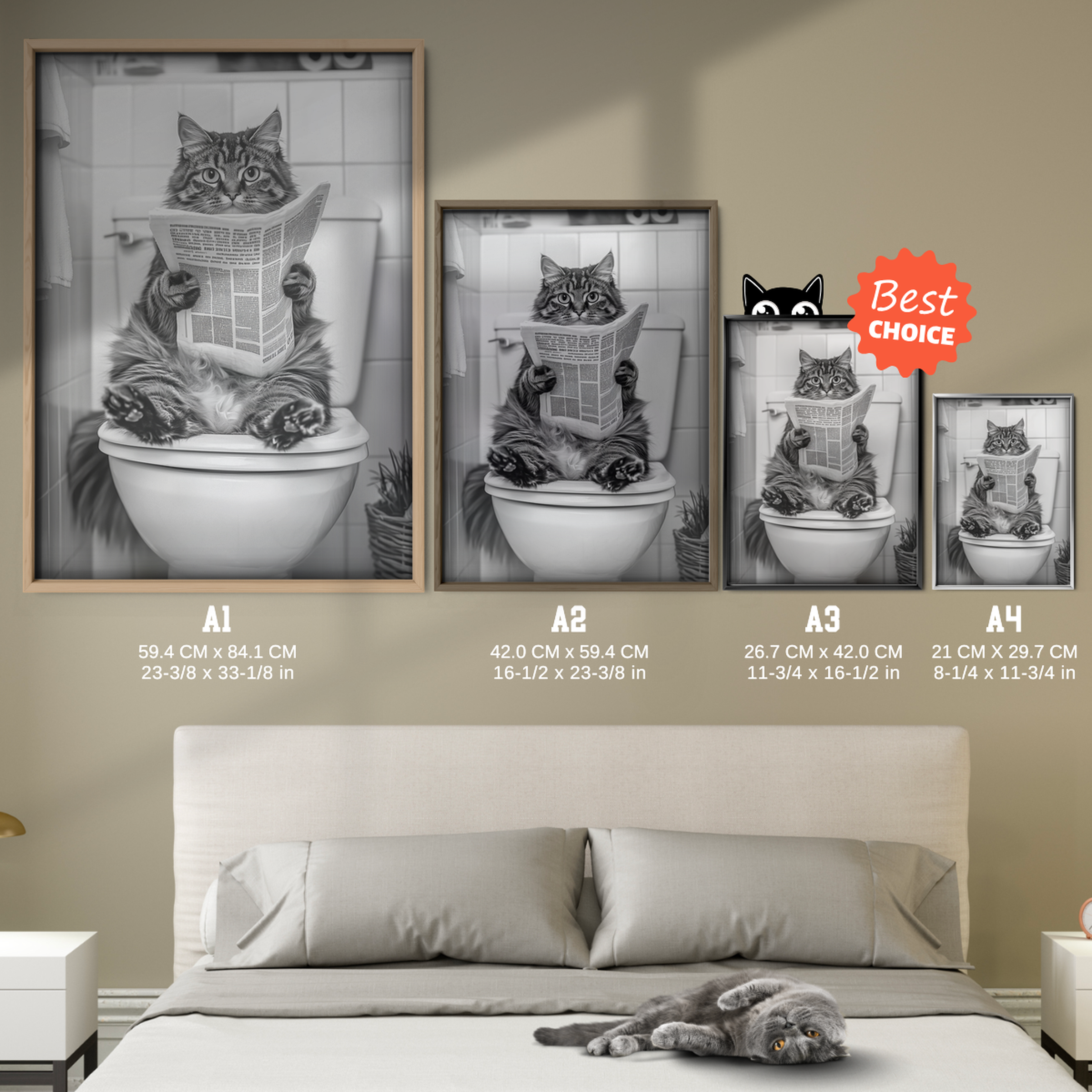 Cozy Cat Toilet News