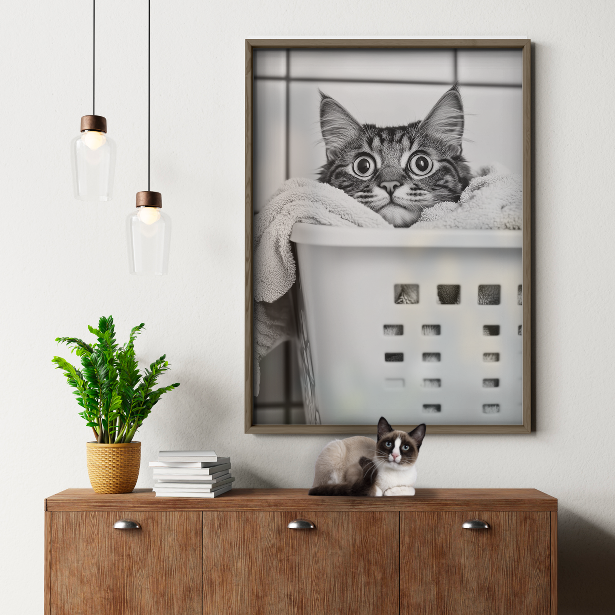 Cozy Cat Laundry Peek