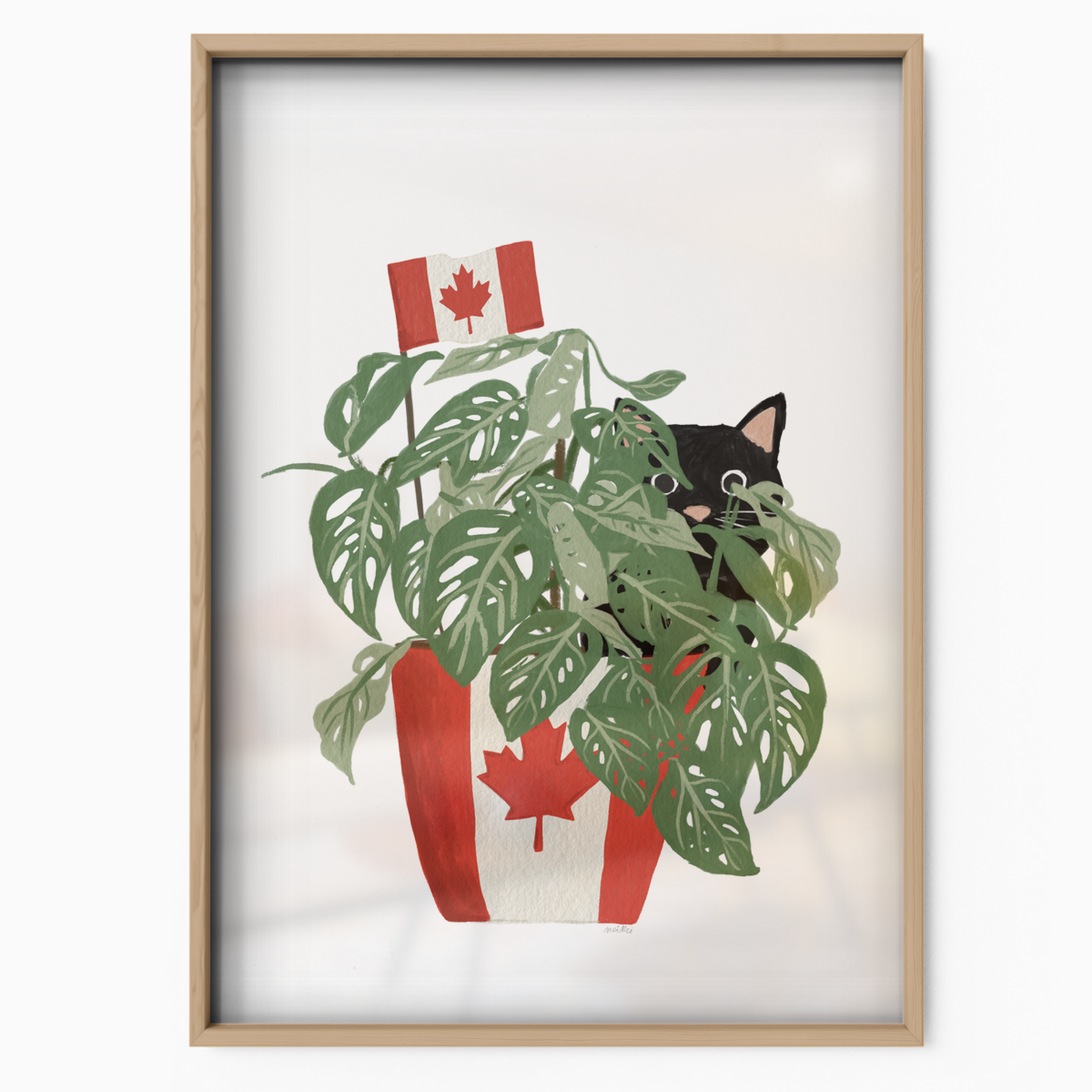 Canadian Cat