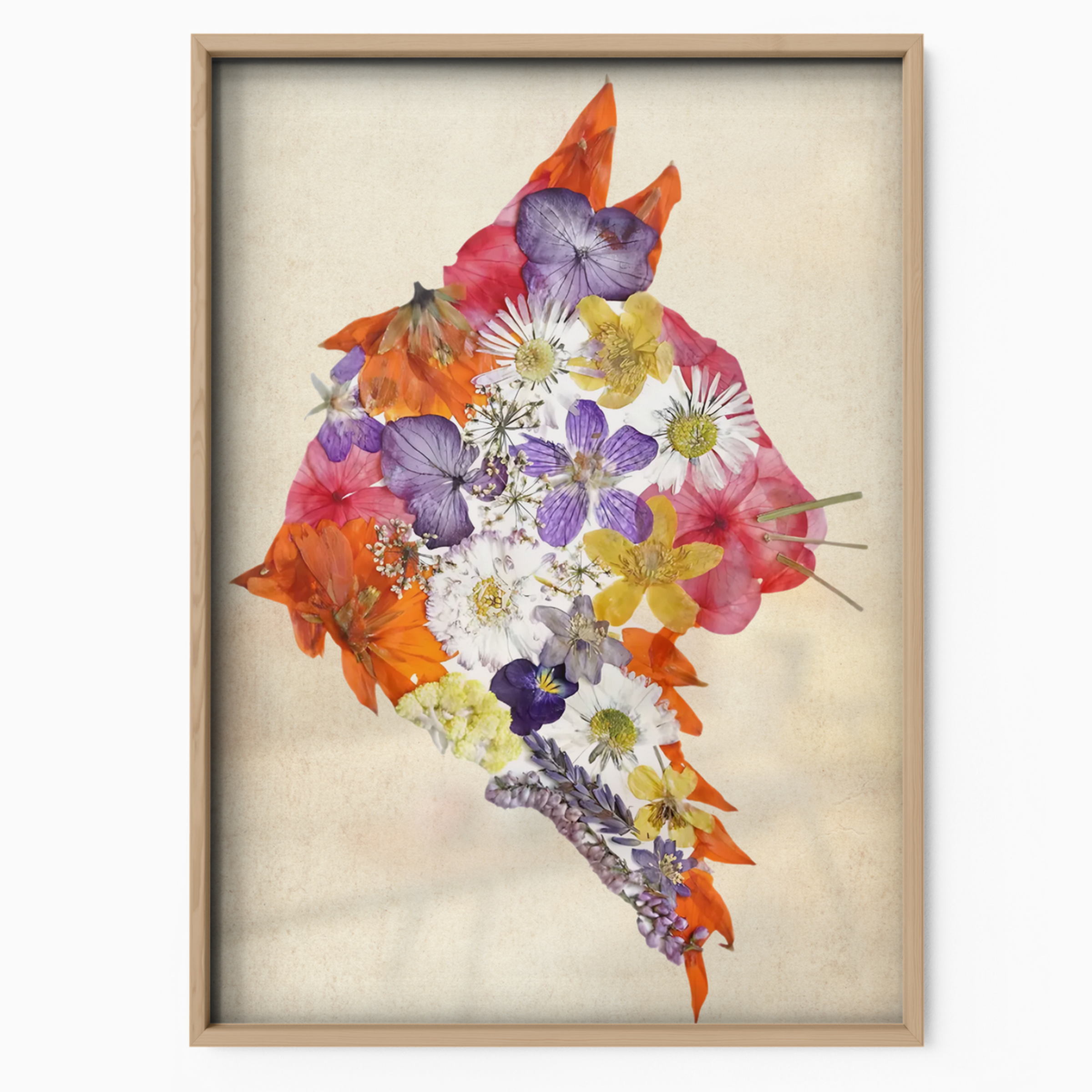 Cat Nature Flower 5 6