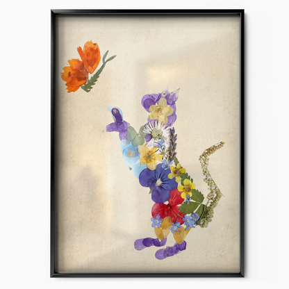 Cat Nature Flower 6 6