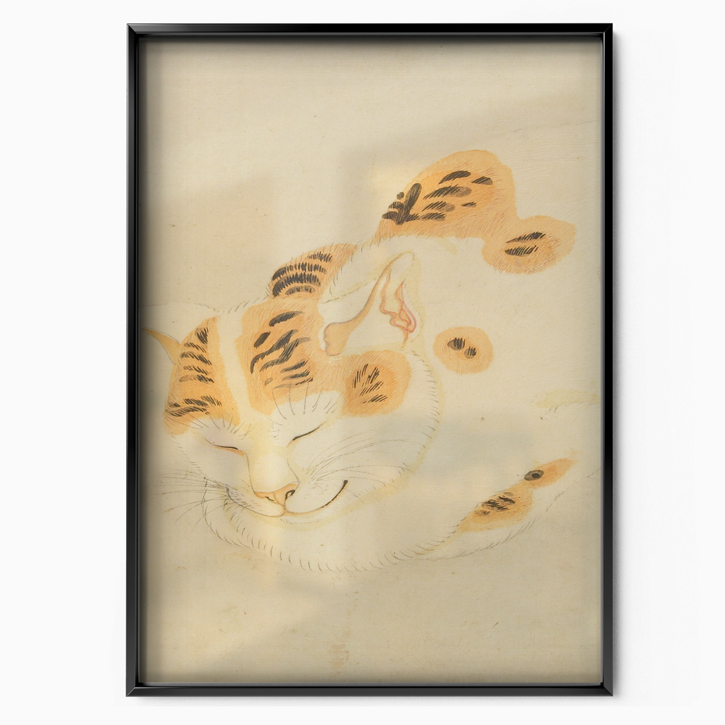 Sleeping Cat Japanese Art