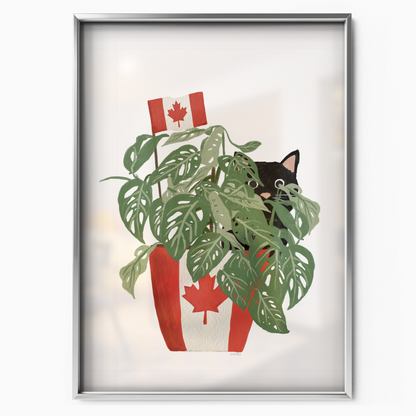 Canadian Cat