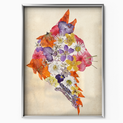 Cat Nature Flower 5 6