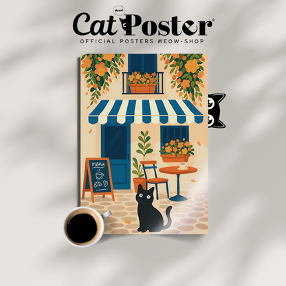 Cat Provence