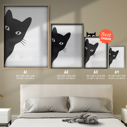 Cat Shadow
