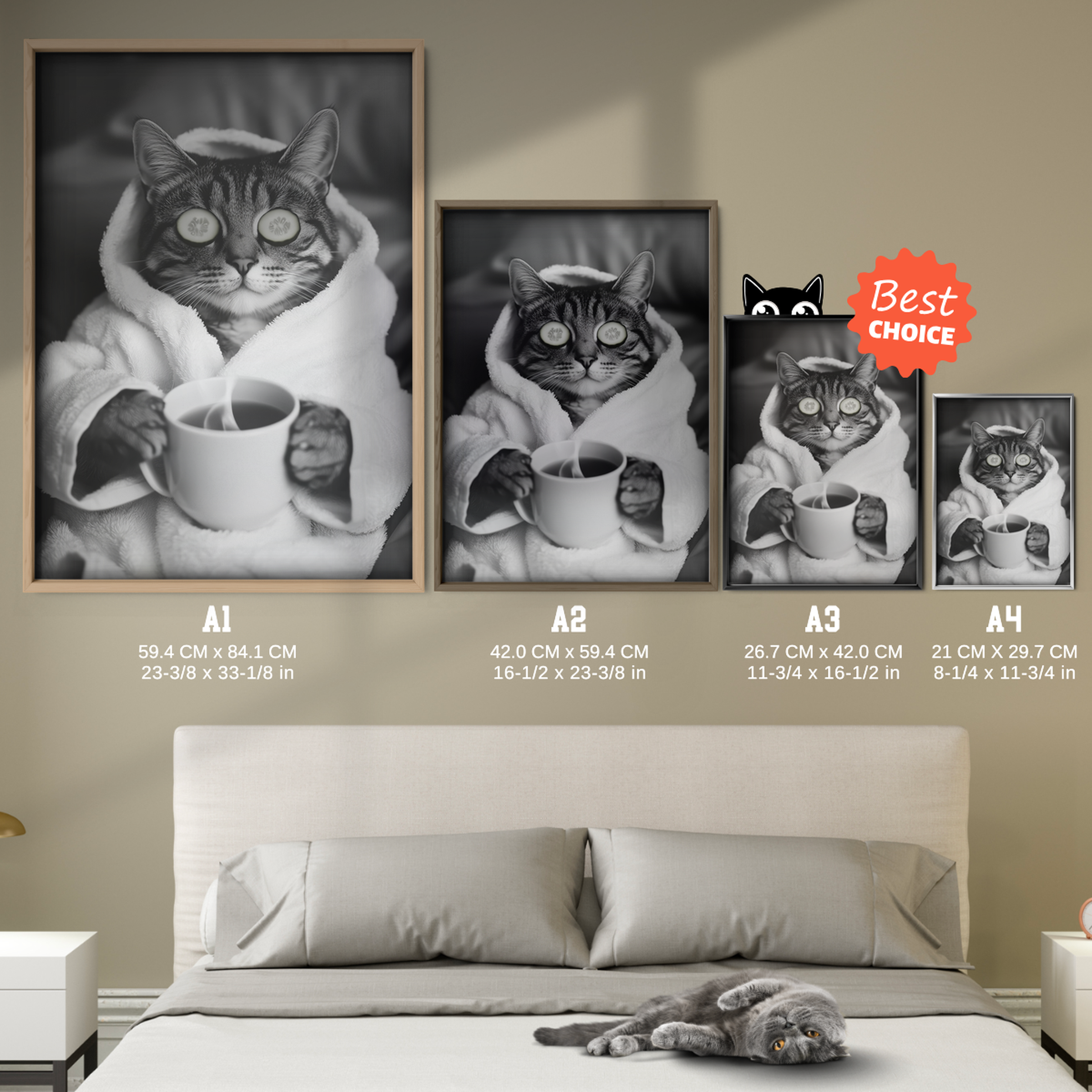 Cozy Cat Spa Break